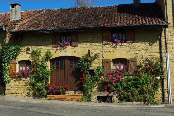 Torgny : joli petit village situé en Provence belge