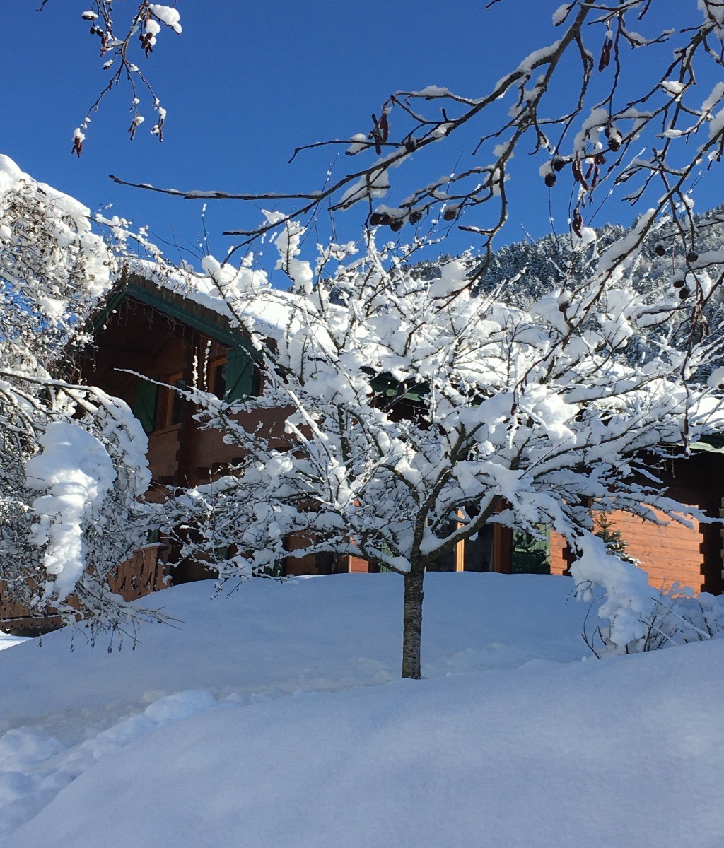 Photo n° 15 de la location