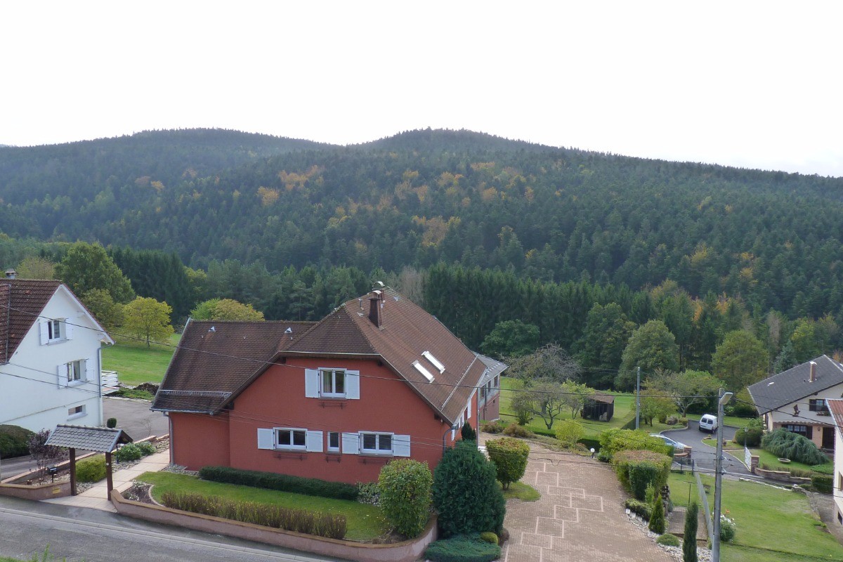 Photo n° 8 de la location