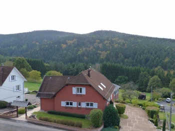 Photo n° 8 de la location