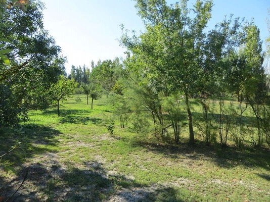 Photo n° 18 de la location