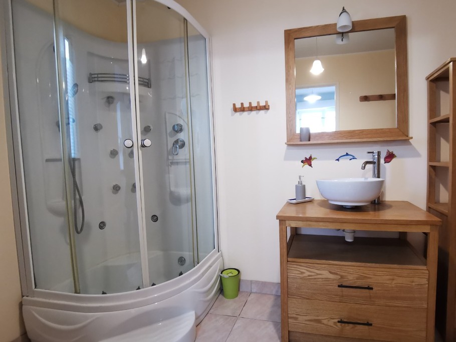 Salle d'eau avec WC au rdc