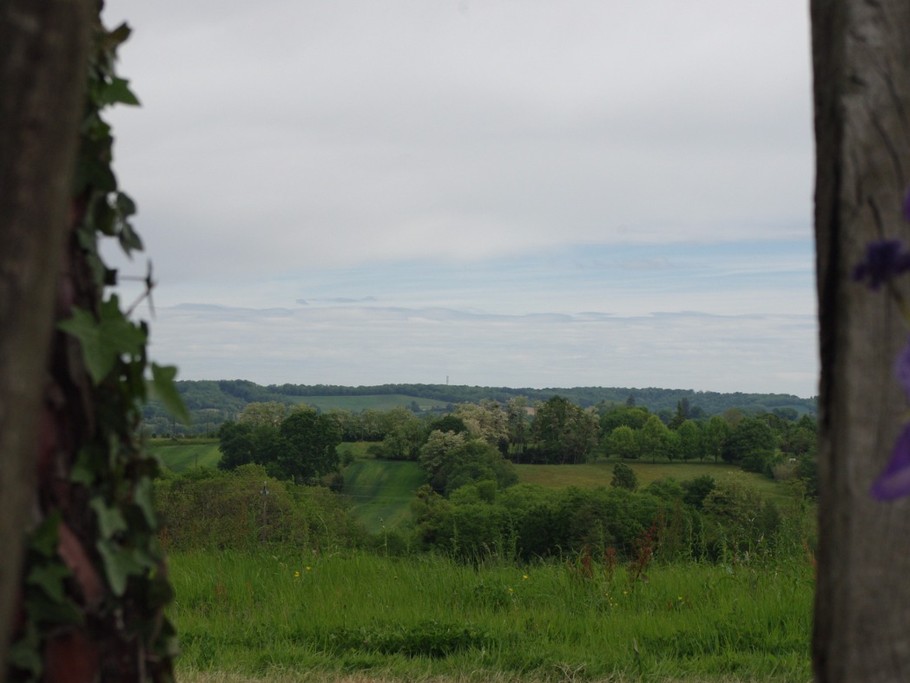 Tableau nature en avril