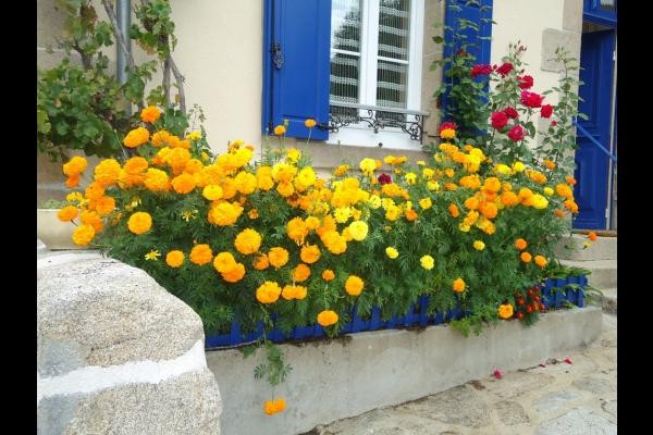 Location de vacances gîte Maison avec étang, idéale pour pêcheurs, proche d'Aubusson en Creuse