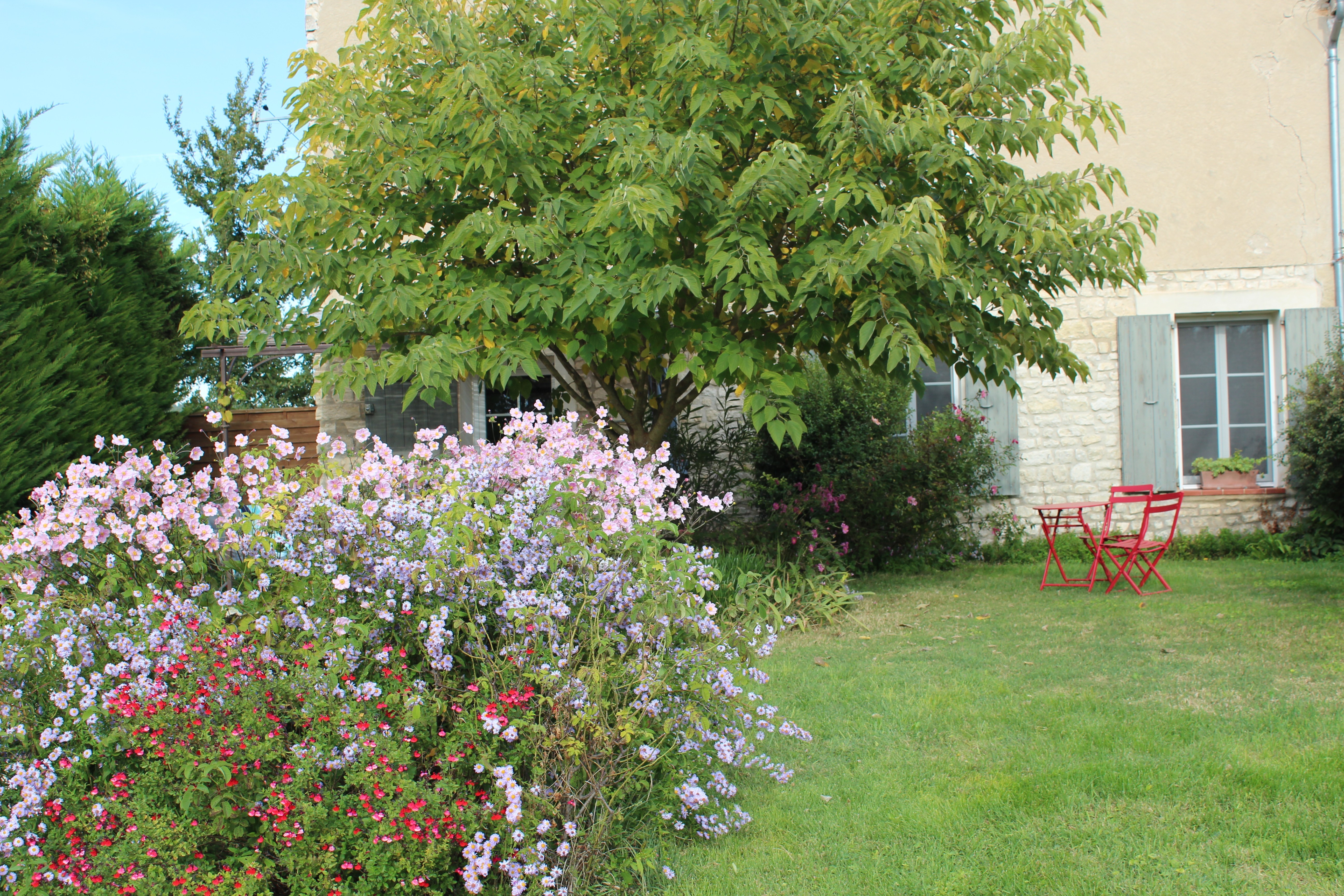 Photo n° 4 of the location