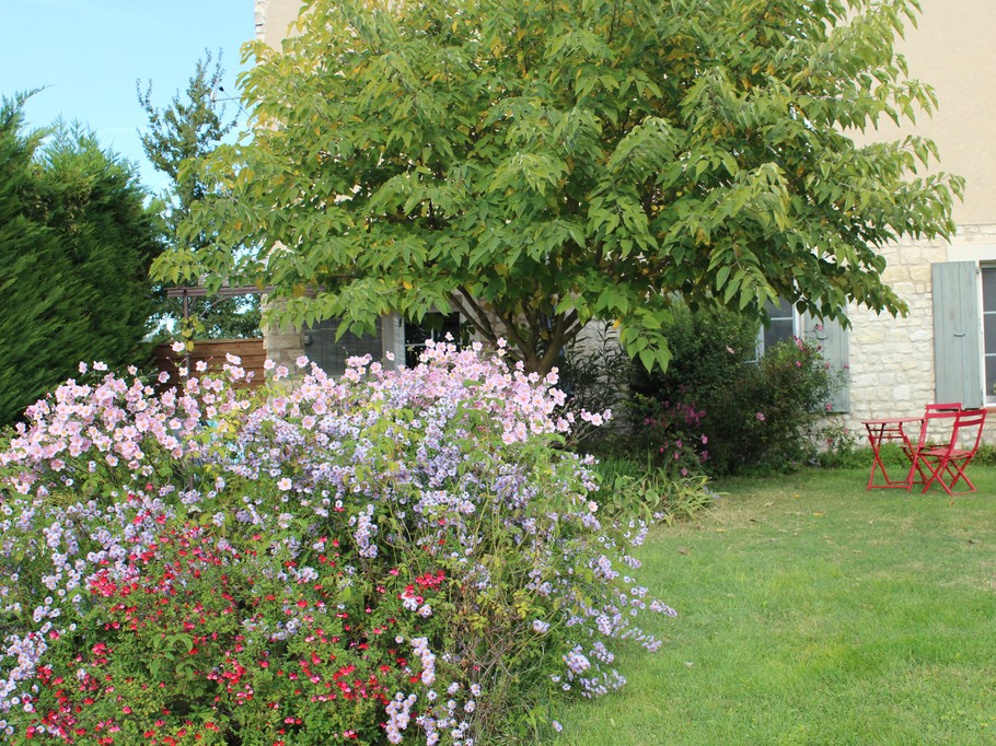 Photo n° 4 of the location