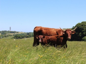 Photo n° 13 of the location