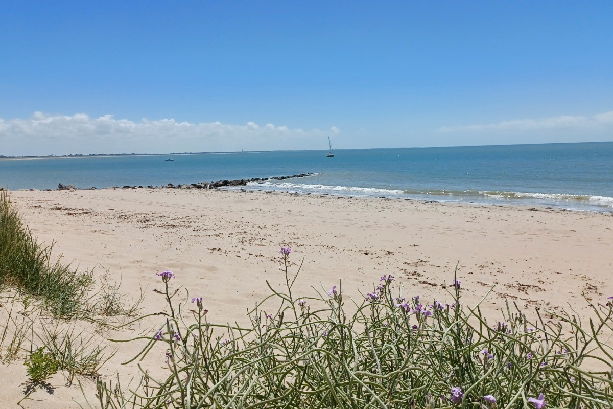 Plage de la Cantine