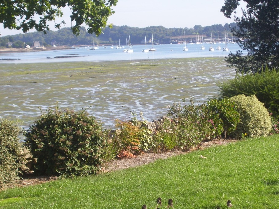 Entrée du Golfe