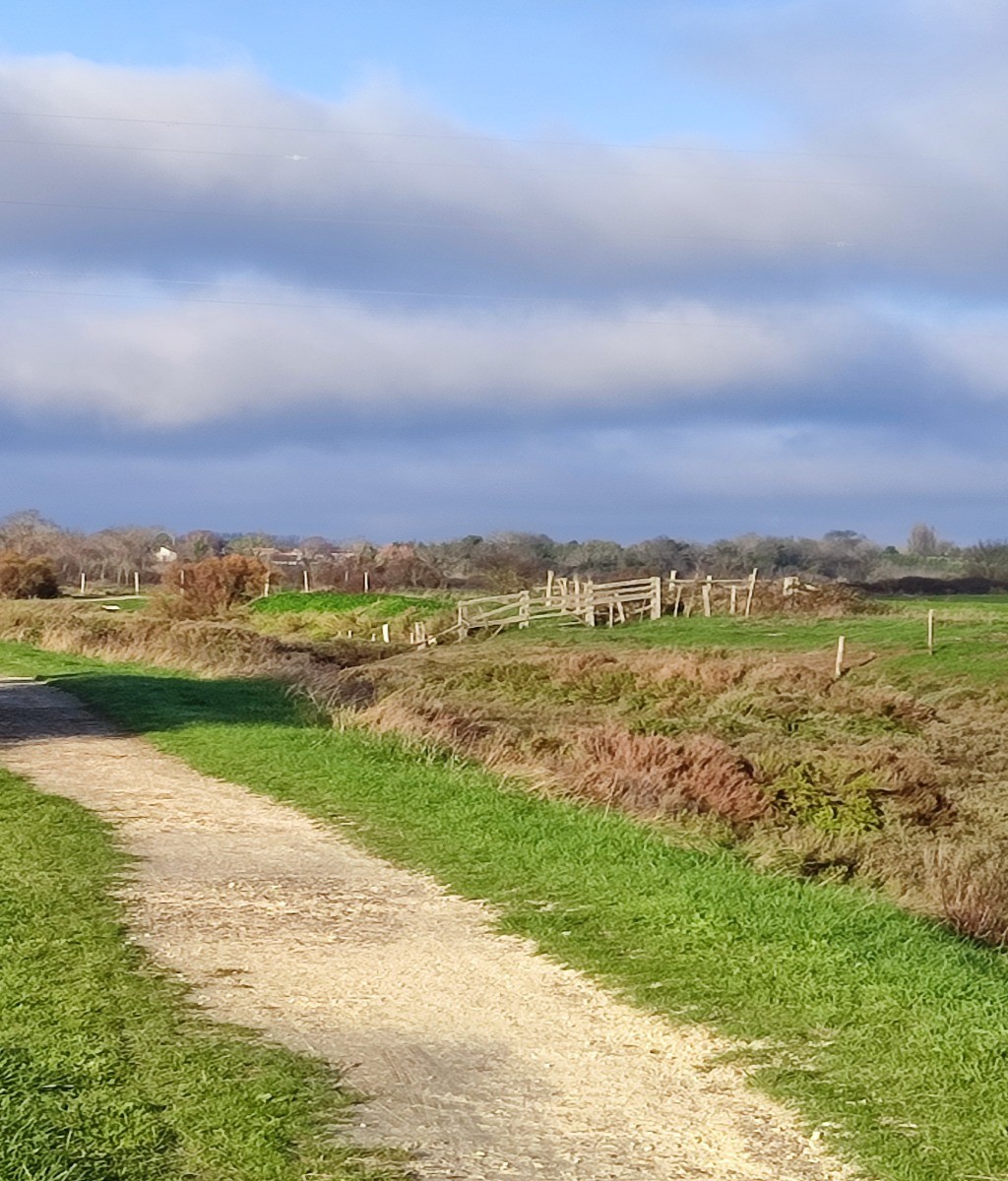 Les marais autour du Moulin des Loges - Marennes