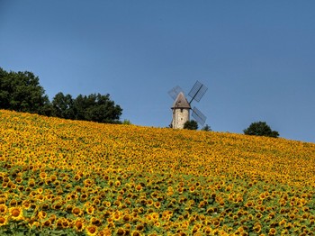 Photo n° 16 de la location