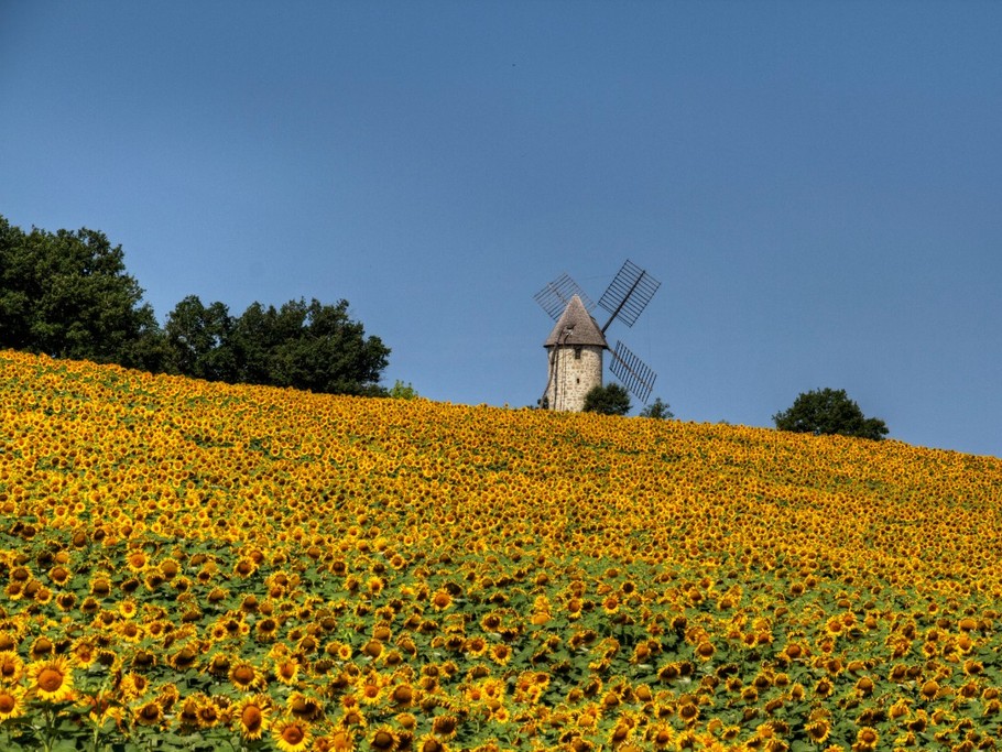 Photo n° 16 de la location