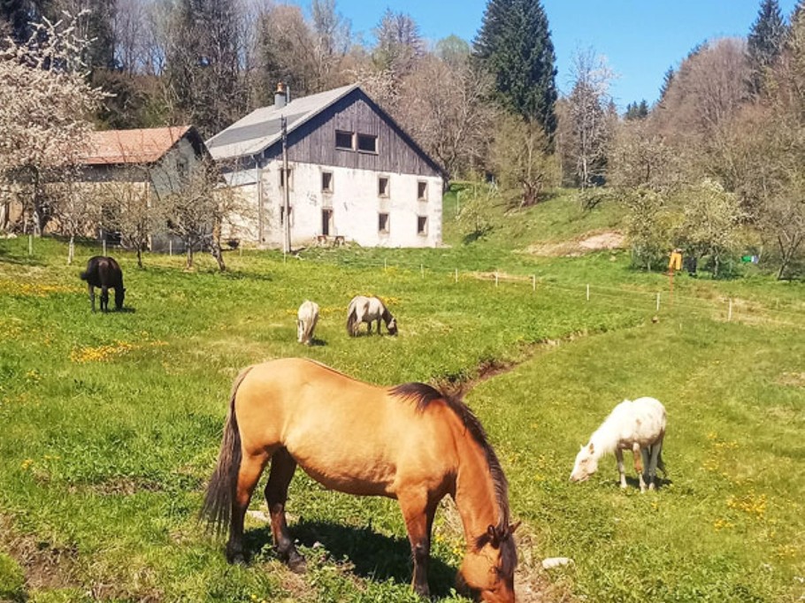 Gîtes Refuge de Création Saulxures-sur-Moselotte