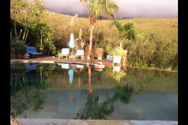 jardin, au soleil couchant