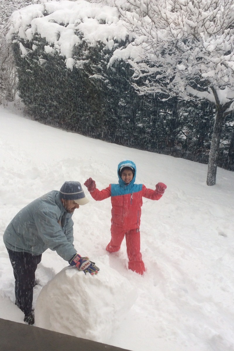 jardin en hiver