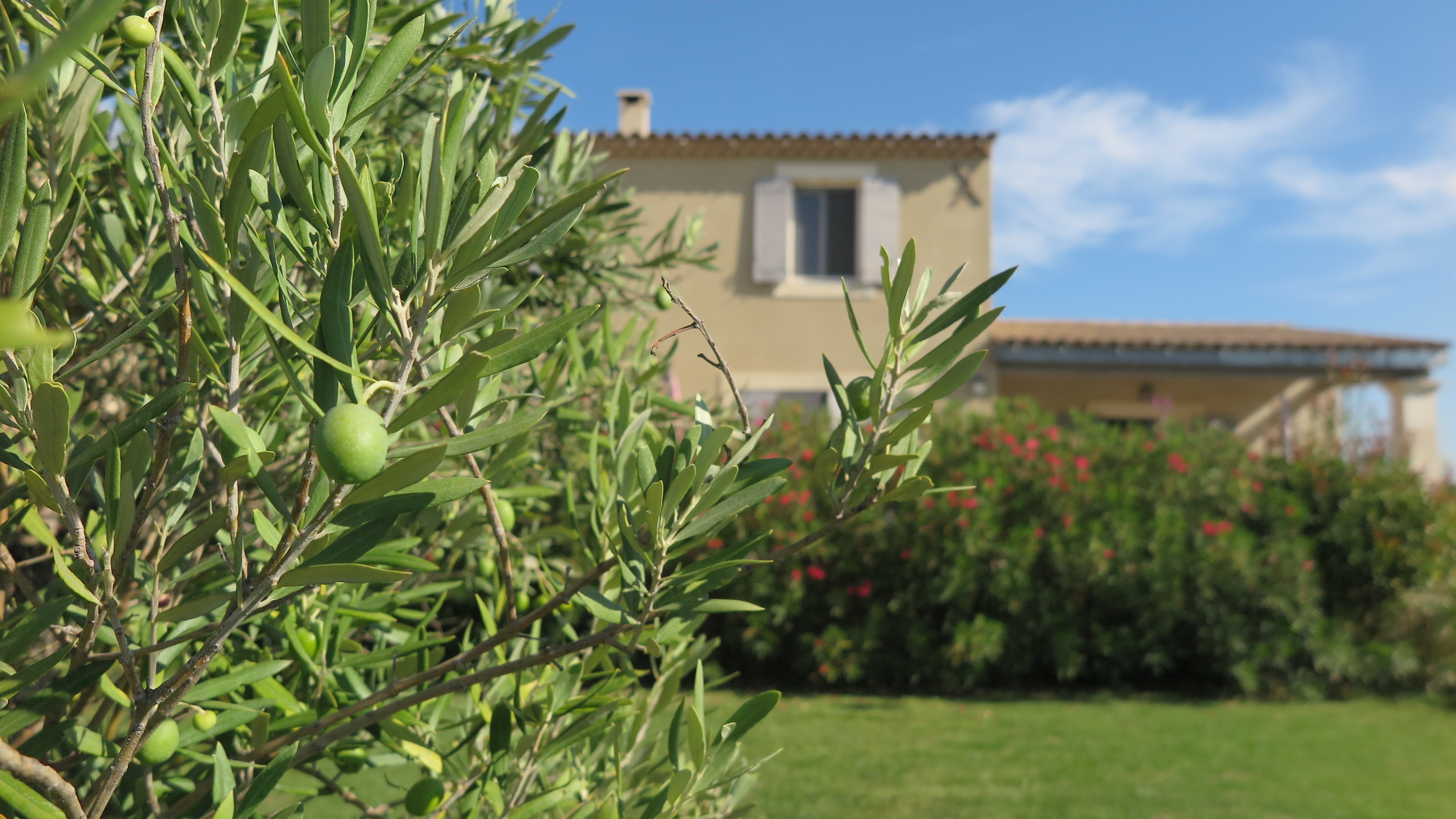 Photo n° 4 de la location