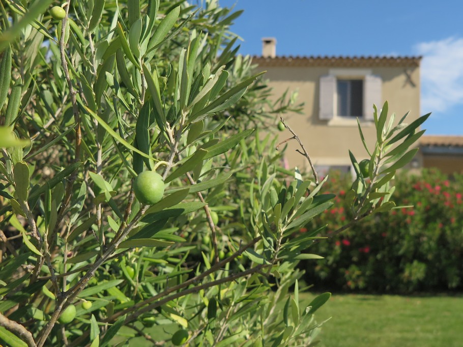 Photo n° 4 de la location