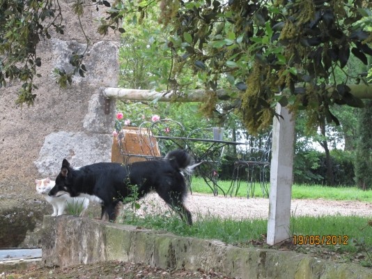 Photo n° 17 of the location
