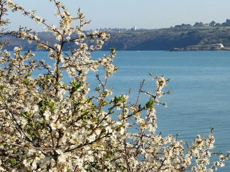 Photo n° 19 of the location