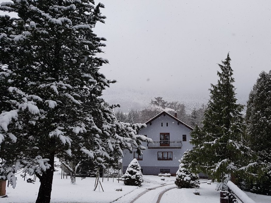 Photo n° 2 de la location