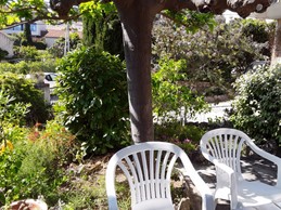 A l'ombre du mûrier !