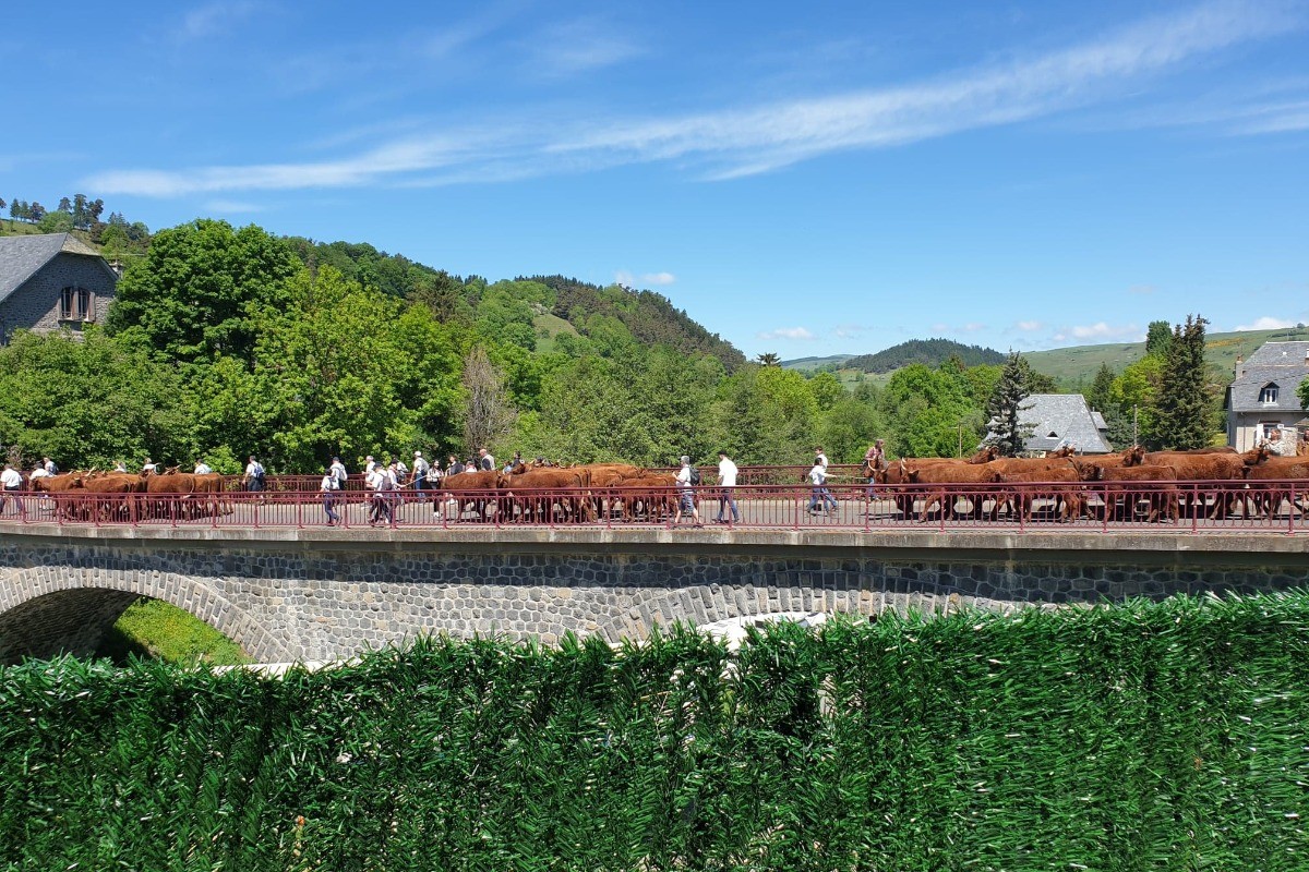 Vue de la terrasse