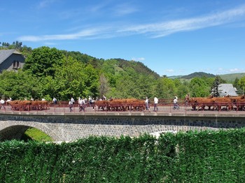 Vue de la terrasse