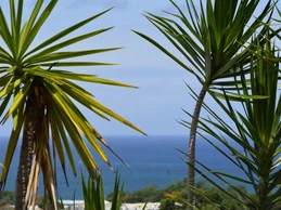 Image n° 4 de la location