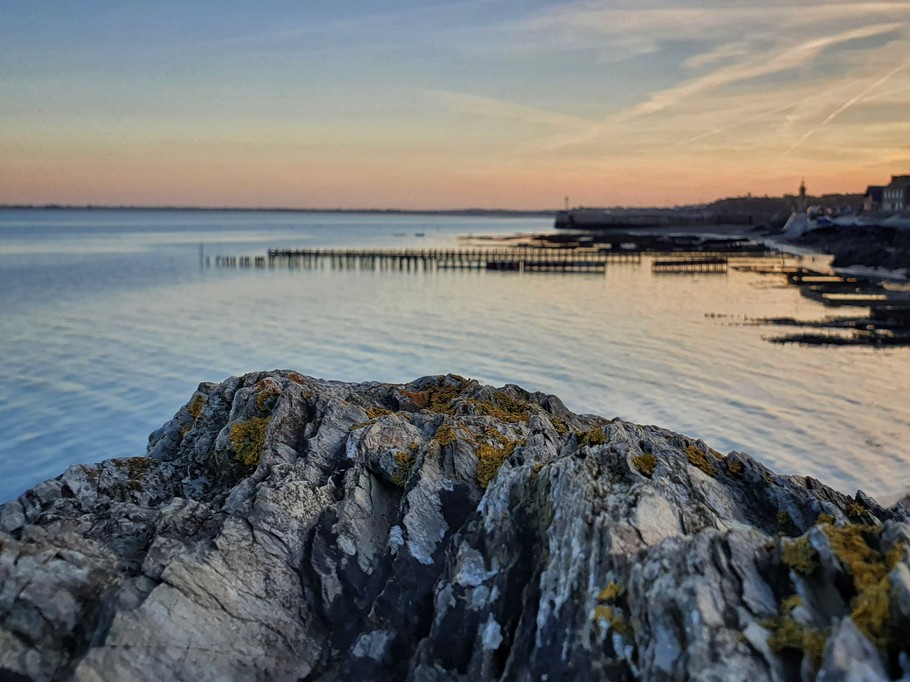 Le port de la Houle à Cancale, à 300 mètres de la location
