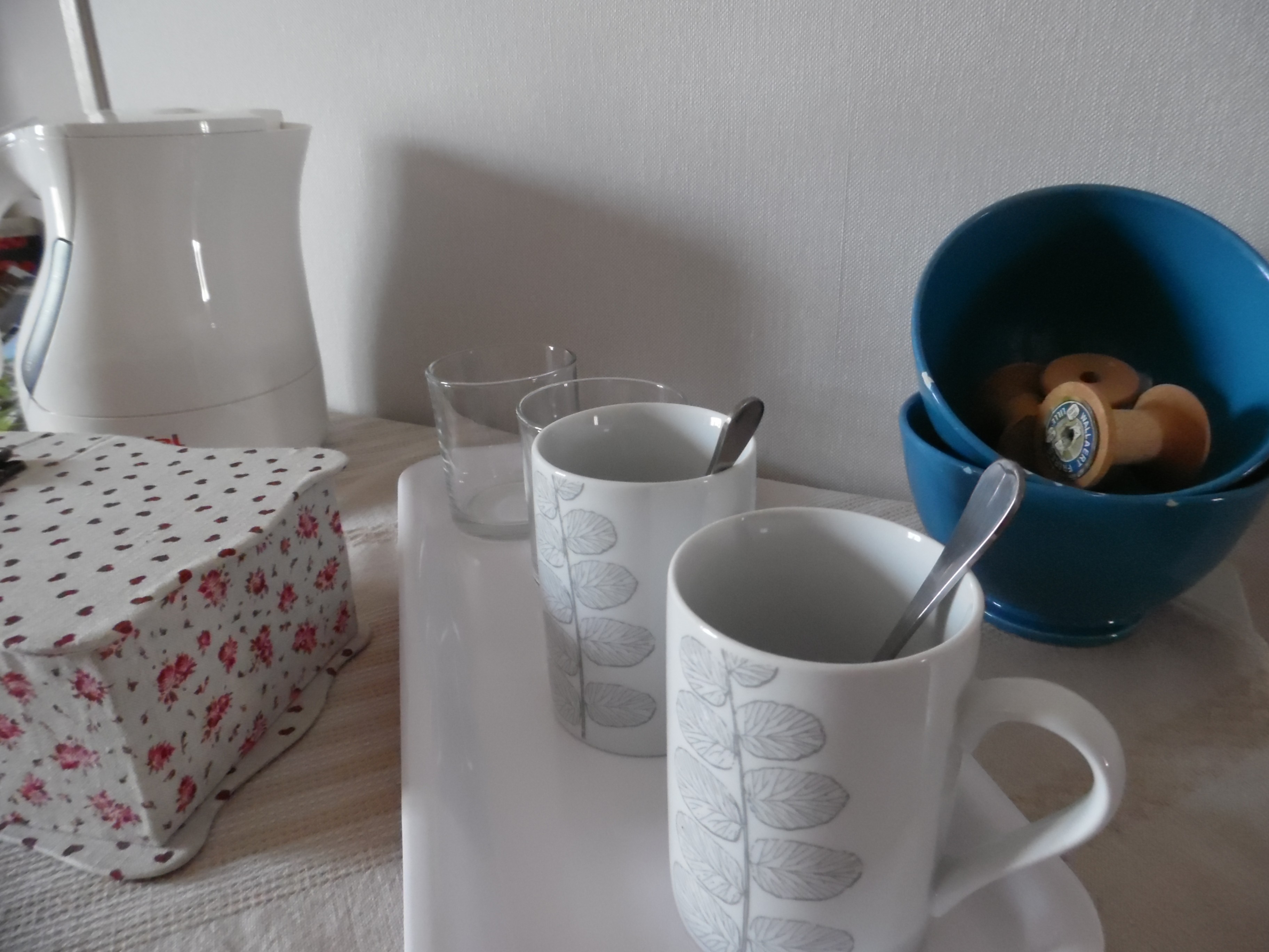 Bols et Bobines, bed and breakfast, Cournon, Auvergne : Courtesy tray