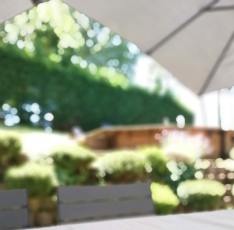 Jardin - Détente - Repas - Pins - Nature - Piscine - La Pinède Guesthouse - Gîte - Vielle-Saint-Girons - Landes -
Crédit photo : Céline