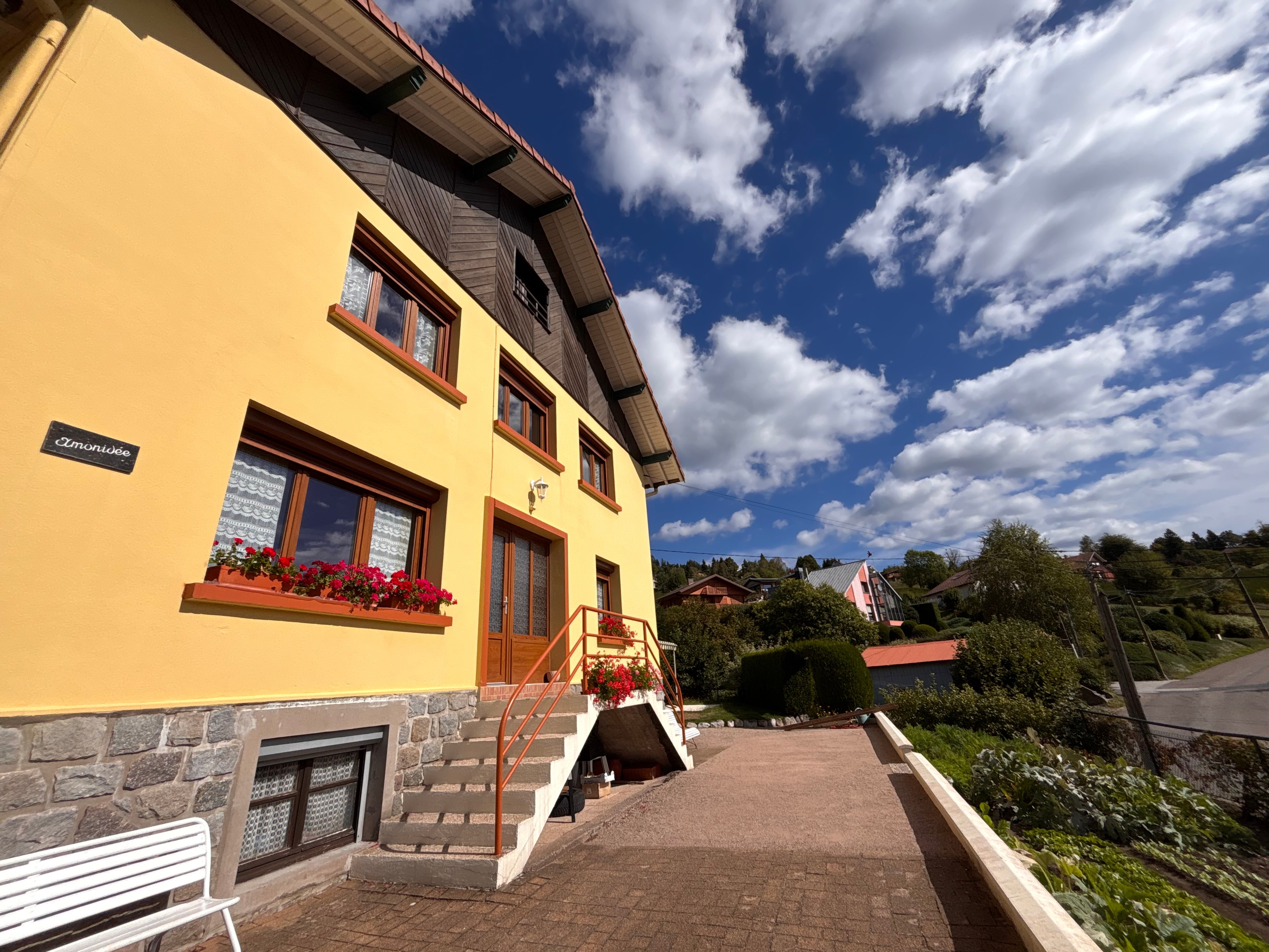 Façade  - Villa Amonidée - Gérardmer
