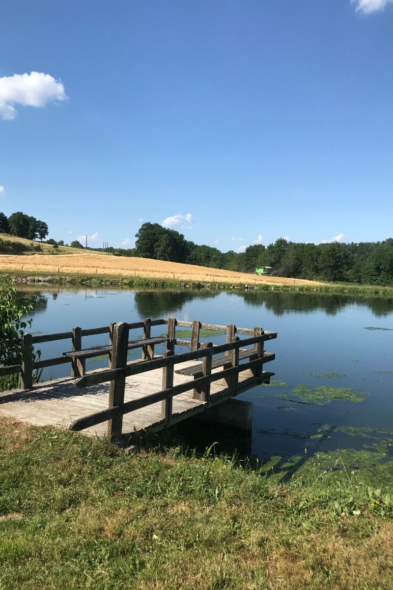 Photo n° 10 of the location