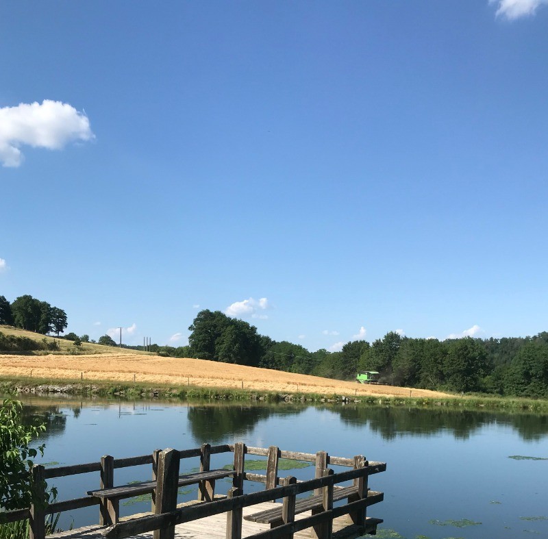 Photo n° 10 of the location