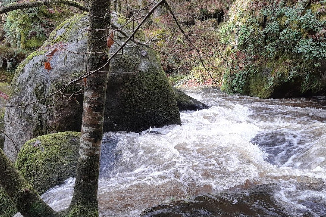 La mare aux sangliers