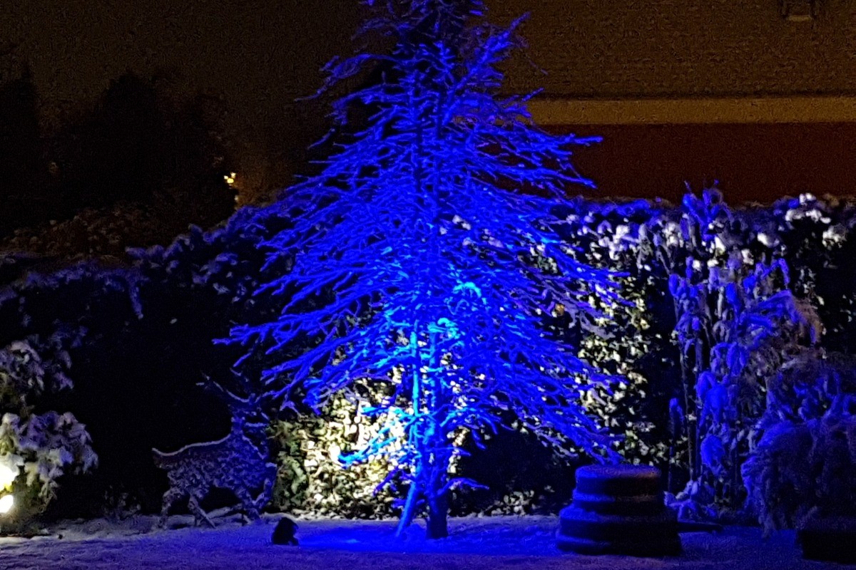 en hiver