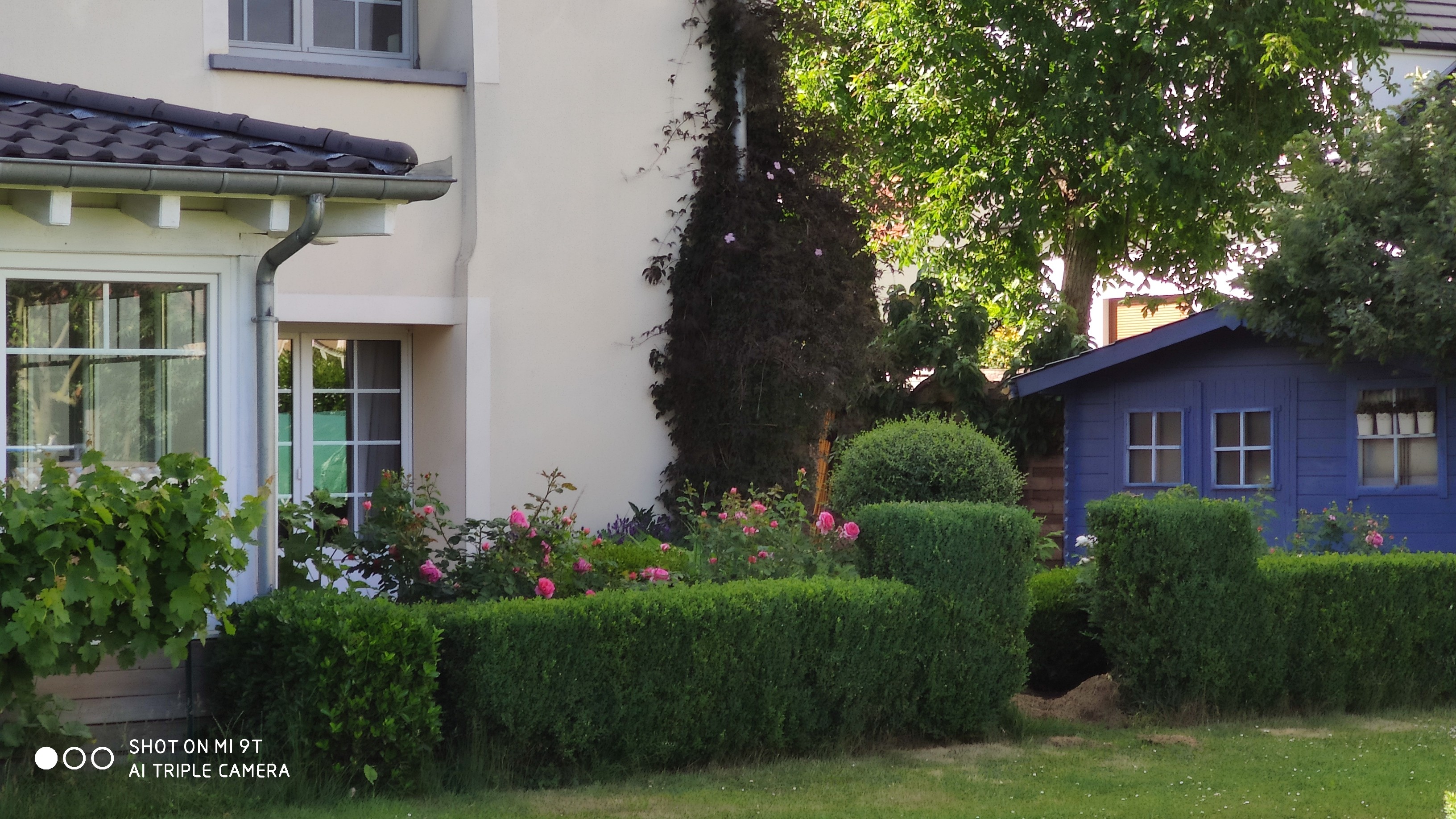 Photo n° 16 of the location