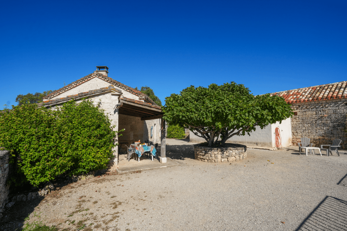 Photo n° 14 de la location