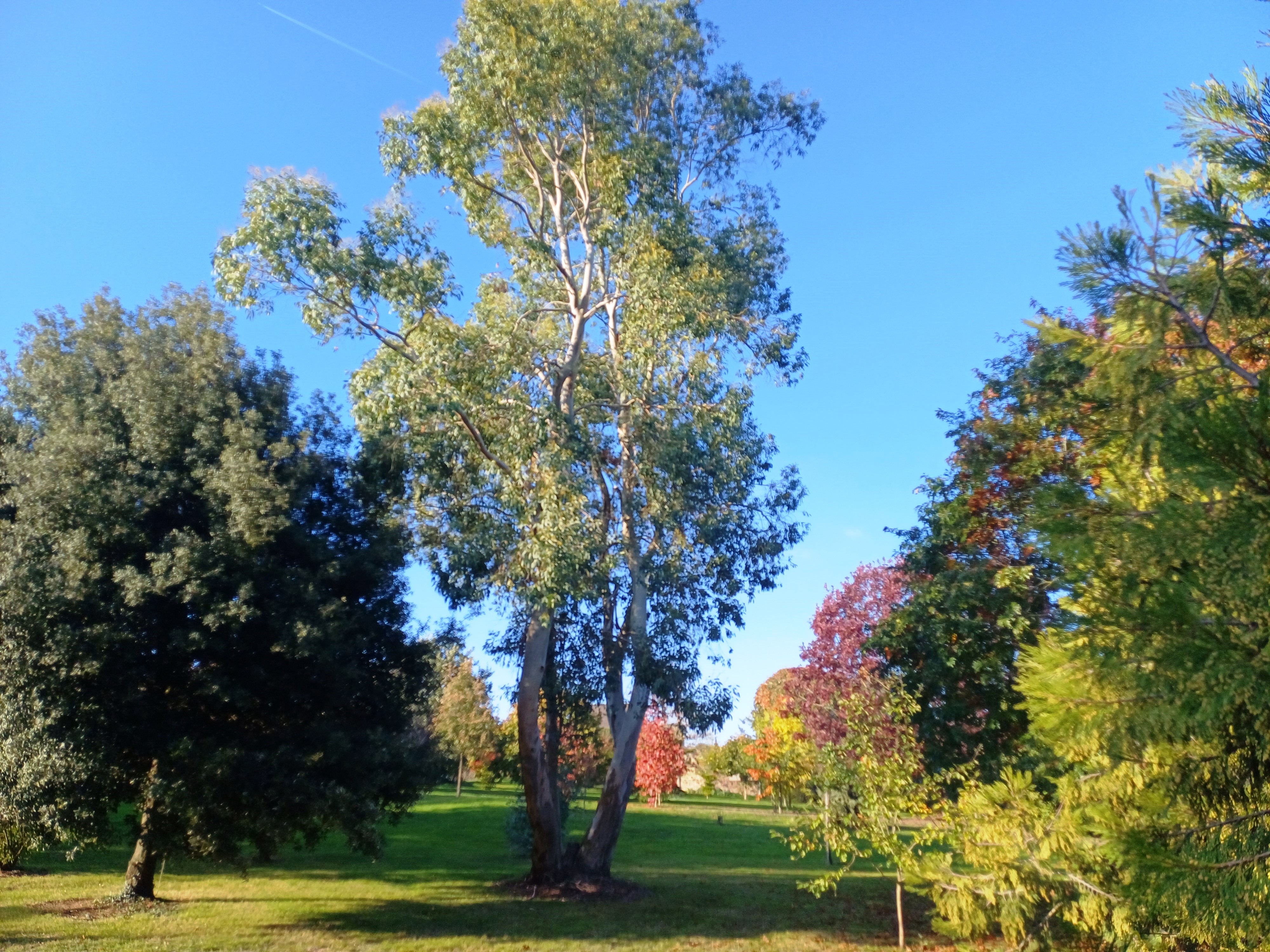 Photo n° 17 of the location