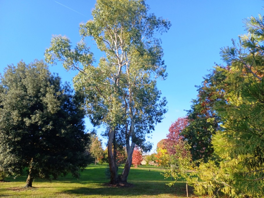 Photo n° 17 of the location