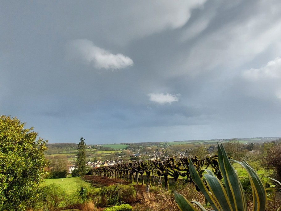 Parc paysager avec des espaces de forêt, de prairies, de verger, de potagers, le tout géré sans aucun pesticides.