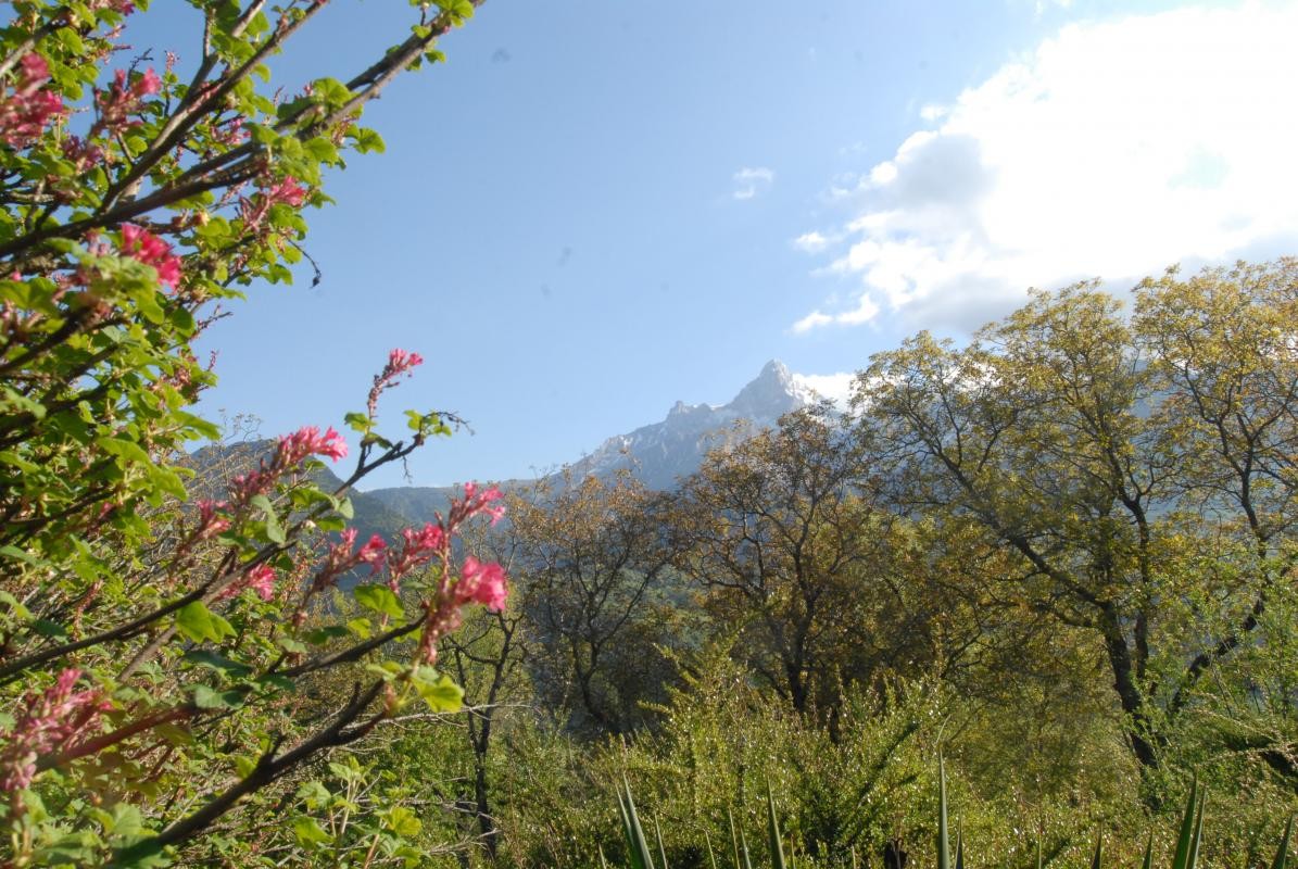 Vue sur l obiou