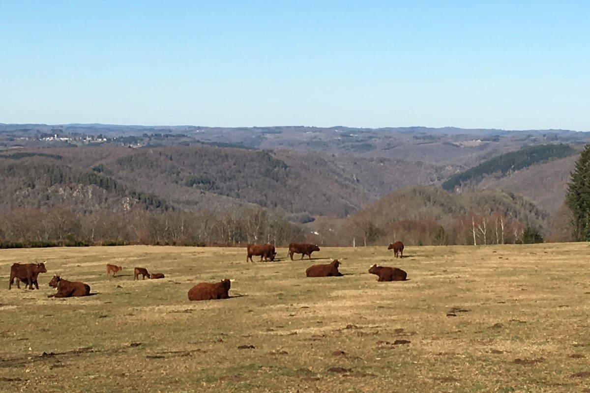 Campagne environnante