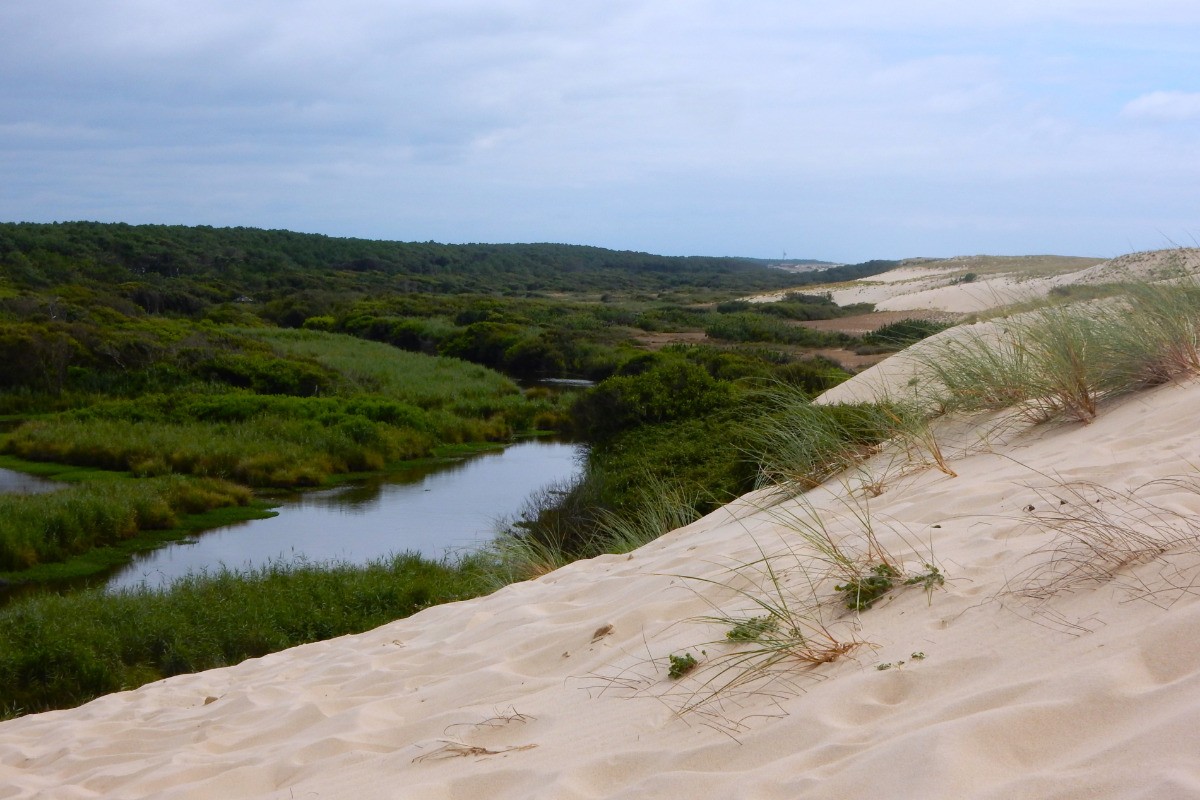 Courant d'Huchet depuis les dunes