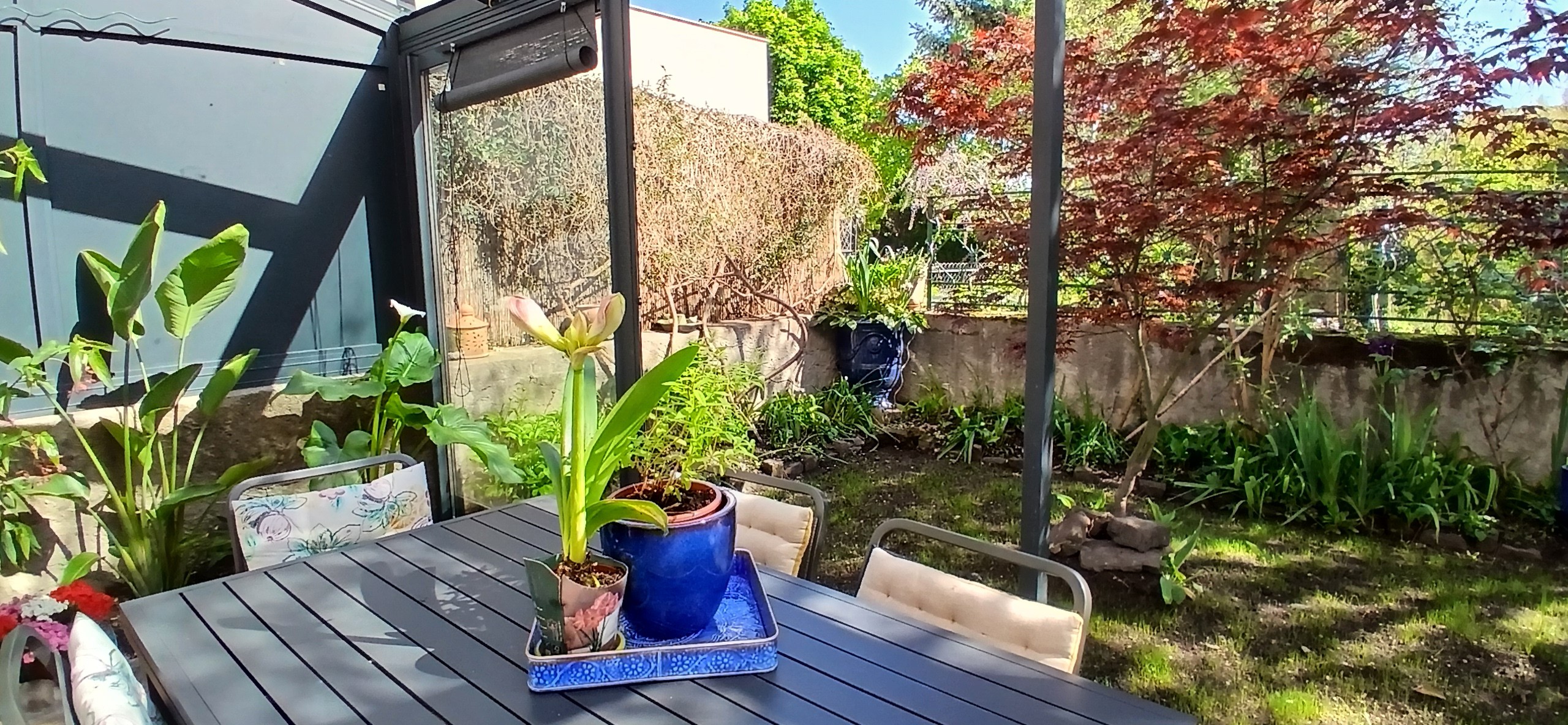 Une Pause en ville (Bed and Breakfast), Clermont-Ferrand - Puy de Dôme - Auvergne