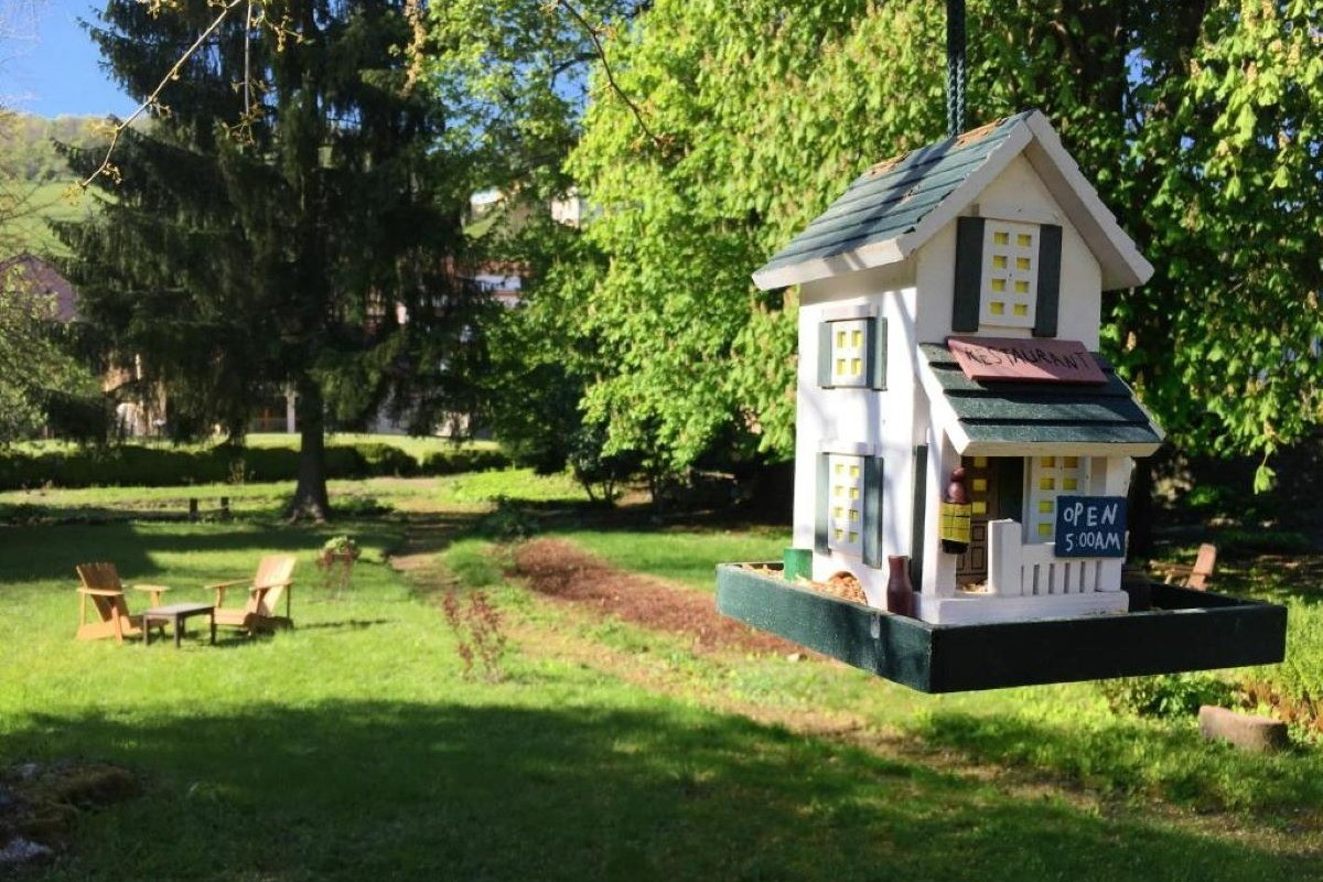 Photo n° 11 de la location