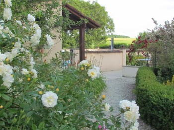 Chemin à la piscine