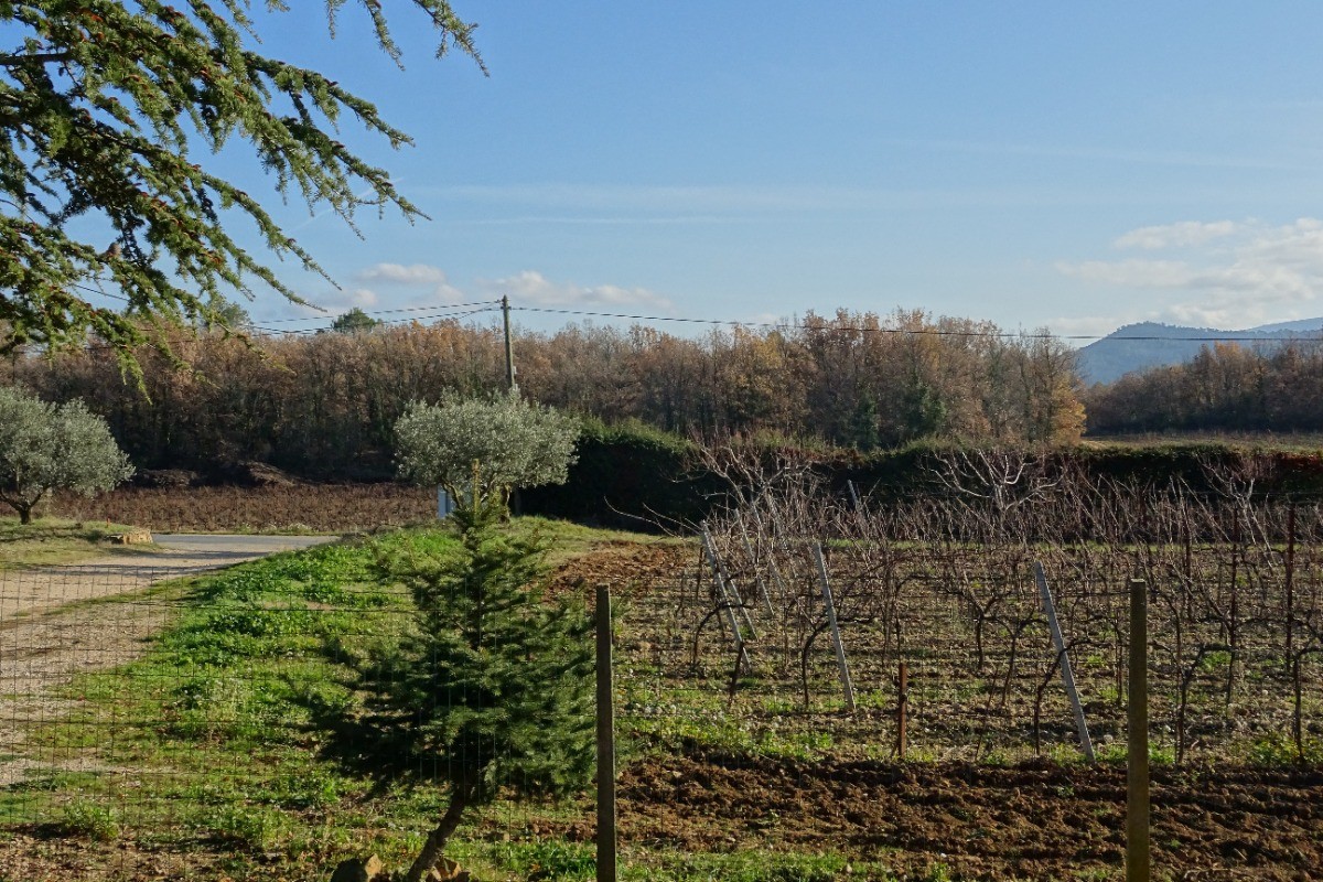 Gîte Campagne Chasteuil (Var, Provence)