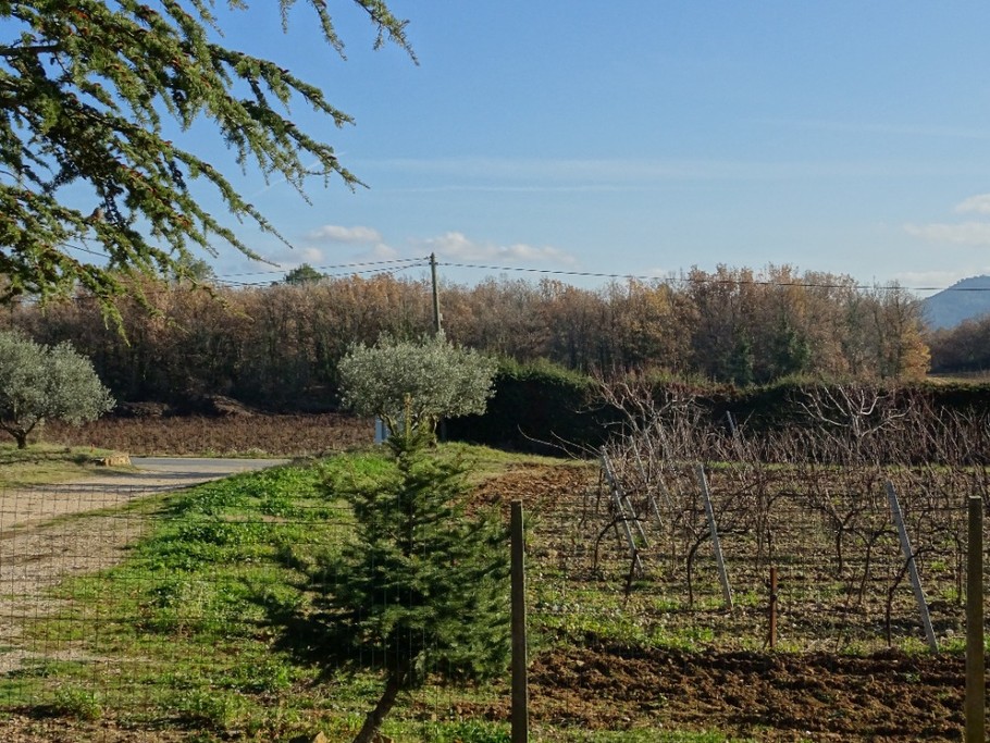 Gîte Campagne Chasteuil (Var, Provence)