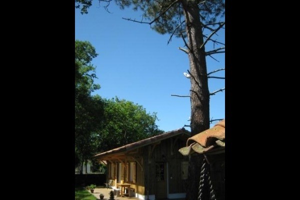 Photo n° 4 of the location